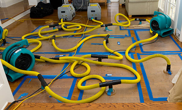 Professional Sewage Cleanup technician working in Plainwell, MI